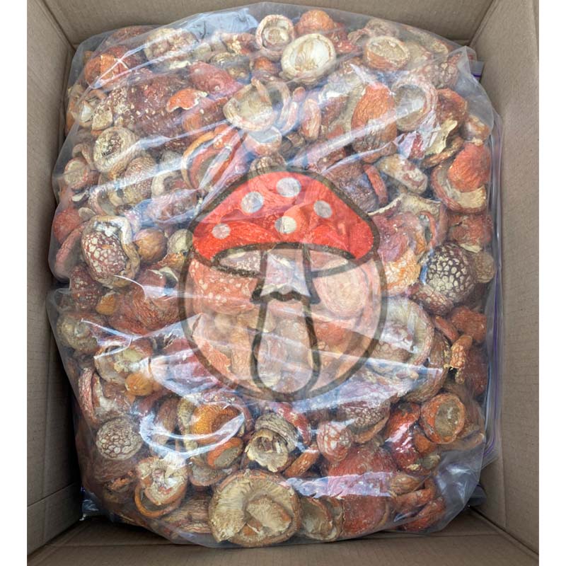 Wholesale batch 1